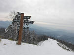 0119-1.jpg