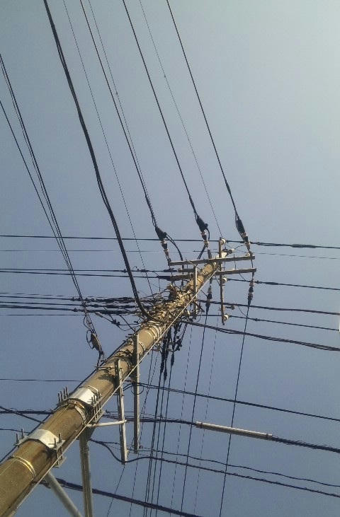 電線_100603