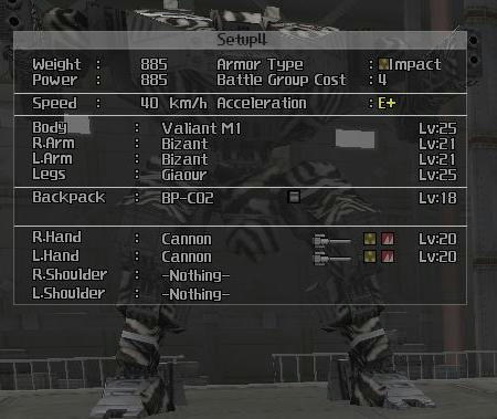 C4CASW.JPG