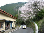 IMG_6882.jpg