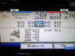 SH350110.jpg