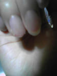 SH350203.jpg