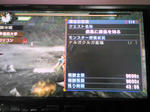 SH350197.jpg