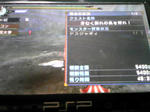 SH350299.jpg