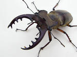 file_20070709T105410031.jpg
