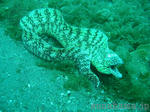 2005-06-08utubo1024.jpg