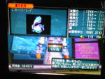 SH350357.jpg