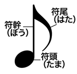 250px-Parts_of_musical_note.svg.png