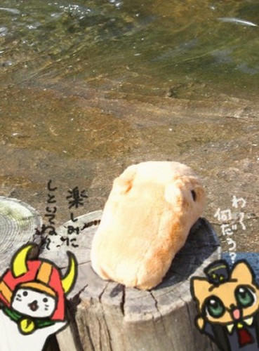 yuruphoto23.jpg