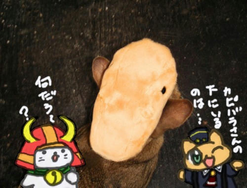 yuruphoto30.jpg