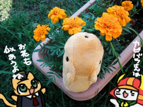 yuruphoto33.jpg