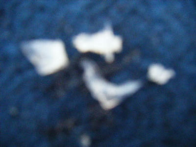 BLOG0165.JPG