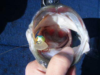 BLOG0195.JPG