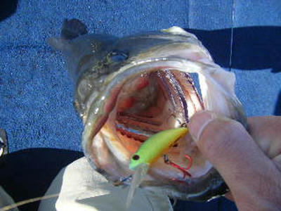 BLOG0194.JPG