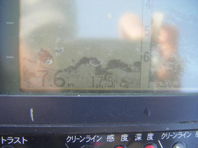 DSCF0260.JPG