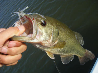 DSCF0265.JPG