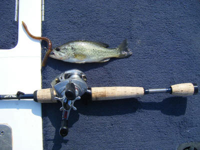 DSCF0295.JPG