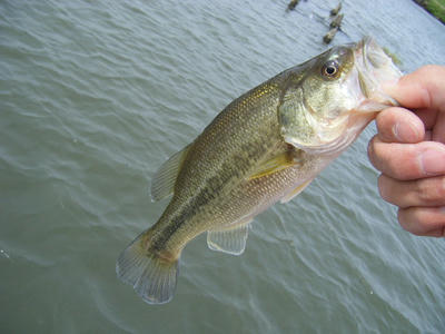 DSCF0309.JPG