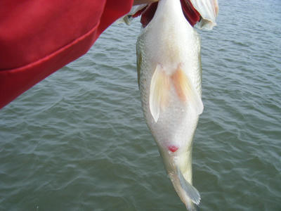 DSCF0310.JPG
