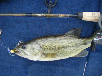 DSCF0314.JPG