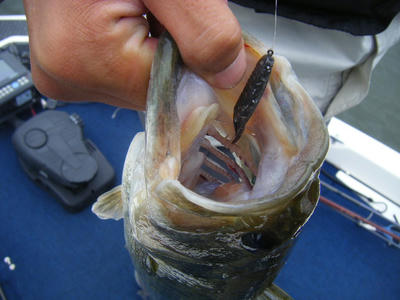 DSCF0325.JPG
