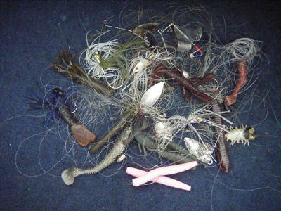 DSCF0328.JPG