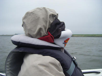 DSCF0329.JPG