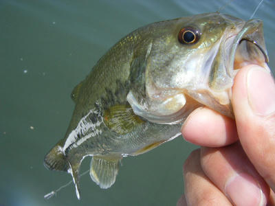 DSCF0334.JPG