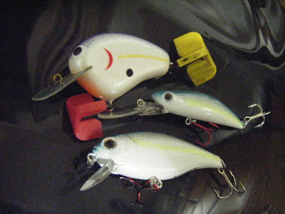 DSCF0358.JPG