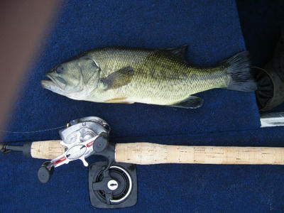 DSCF0373.JPG