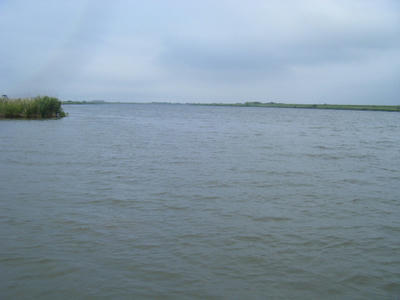 DSCF0391.JPG