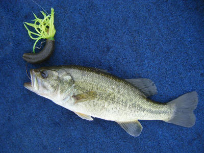 DSCF0393.JPG