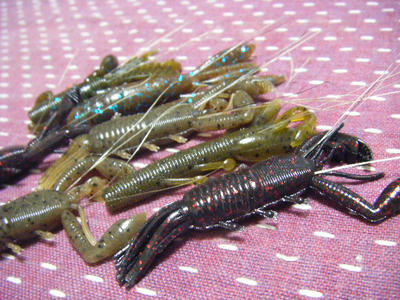 DSCF0396.JPG