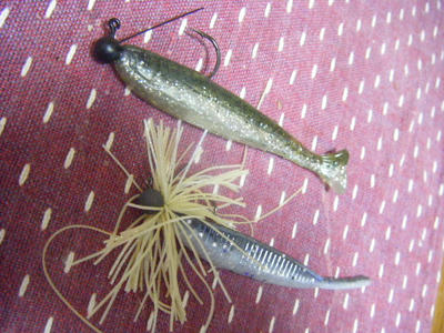 DSCF0398.JPG