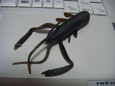 DSCF0429.JPG