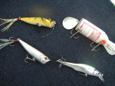 DSCF0431.JPG