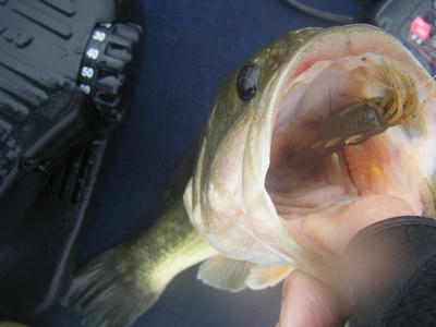 DSCF0433.JPG