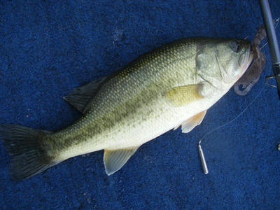 DSCF0436.JPG