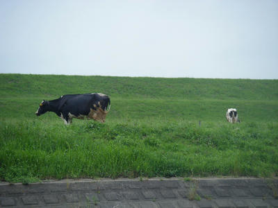 DSCF0444.JPG