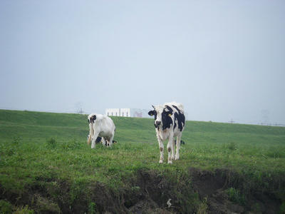 DSCF0446.JPG