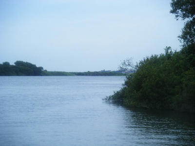 DSCF0461.JPG