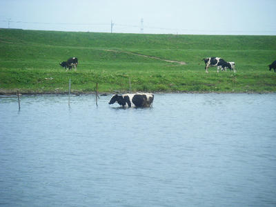 DSCF0465.JPG