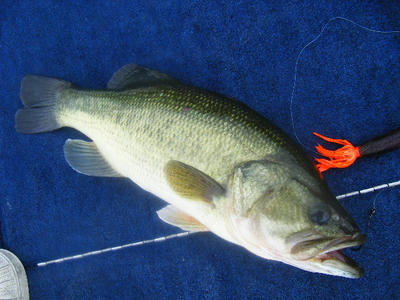 DSCF0459.JPG