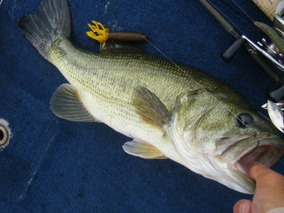 DSCF0492.JPG