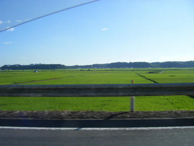 DSCF0508.JPG