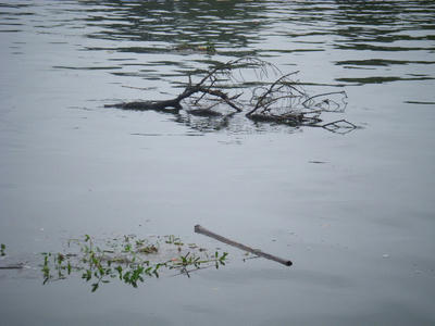 DSCF0524.JPG