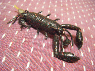 DSCF0534.JPG