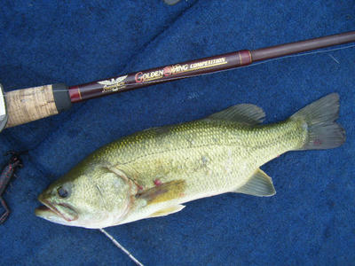 DSCF0527.JPG