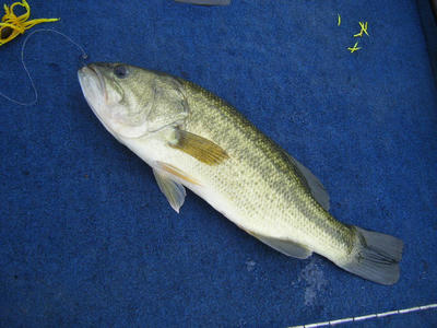 DSCF0525.JPG