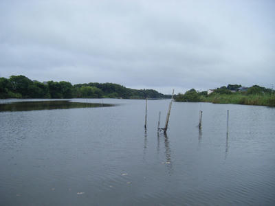 DSCF0536.JPG